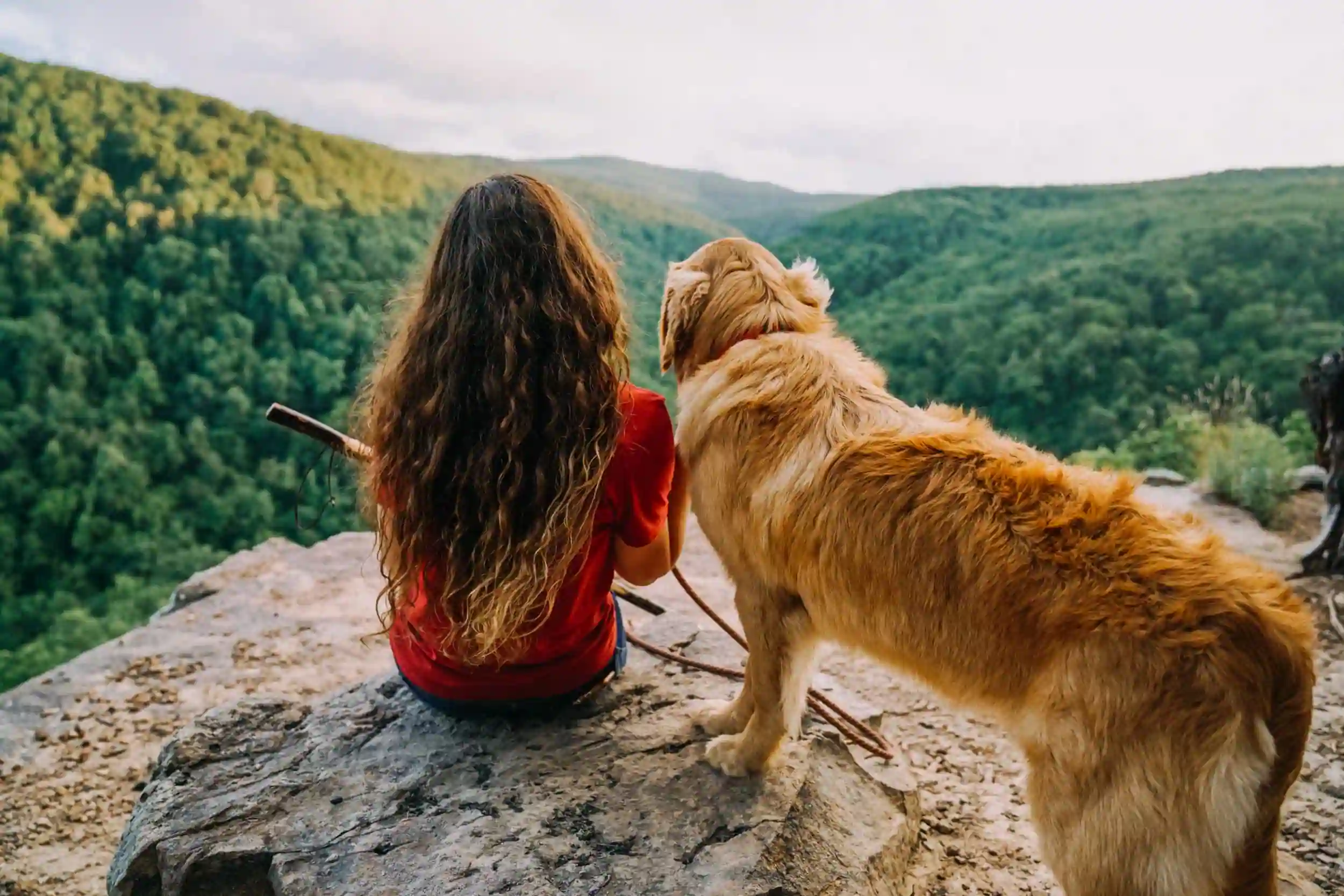 Best Dog-Friendly Hiking Trails