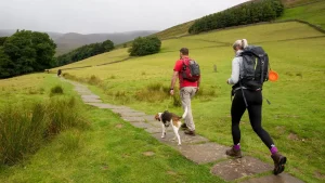 dog friendly hiking trails